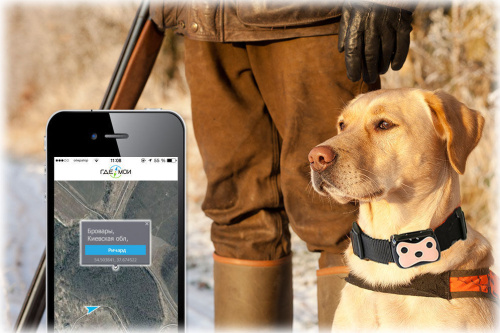GPS трекеры для животных