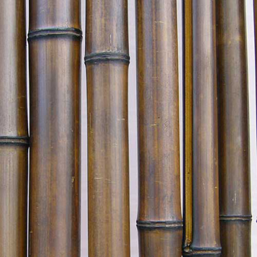 Стволы бамбуковые