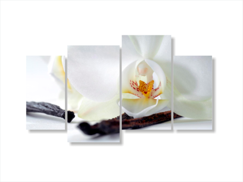 Картины модульные Орхидеи