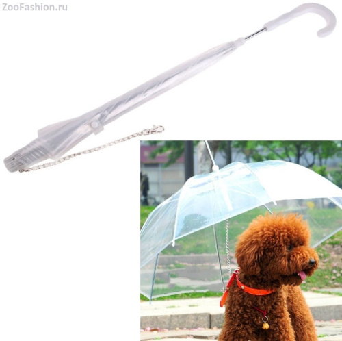 Зонтики для собак