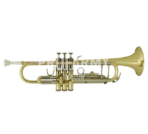 Трубы (музыкальные инструменты)