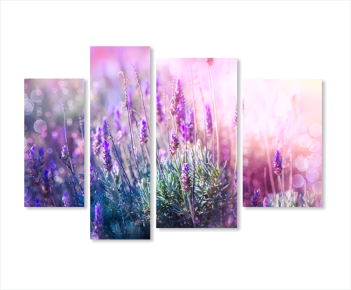 Картины модульные Цветы