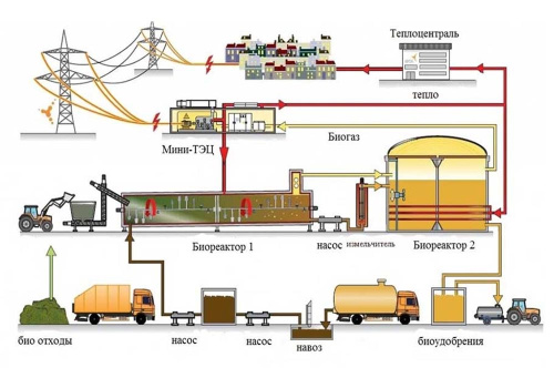 Оборудование по утилизации биомассы 