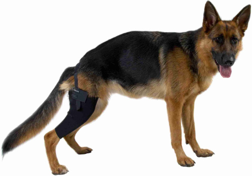Протекторы на суставы для собак