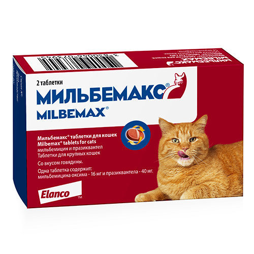 Антигельминтики для кошек