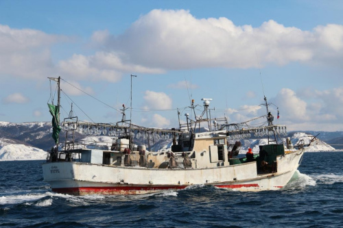 Суда промысловые для ловли кальмаров