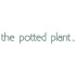 The Potted Plant