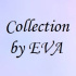 Collection by EVA